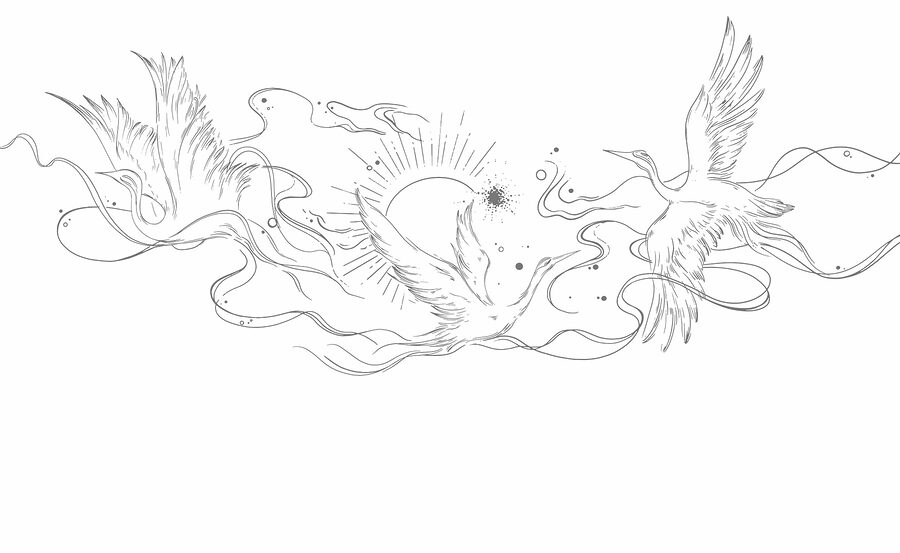 Wall murals Drawing of birds and sun - Image 2