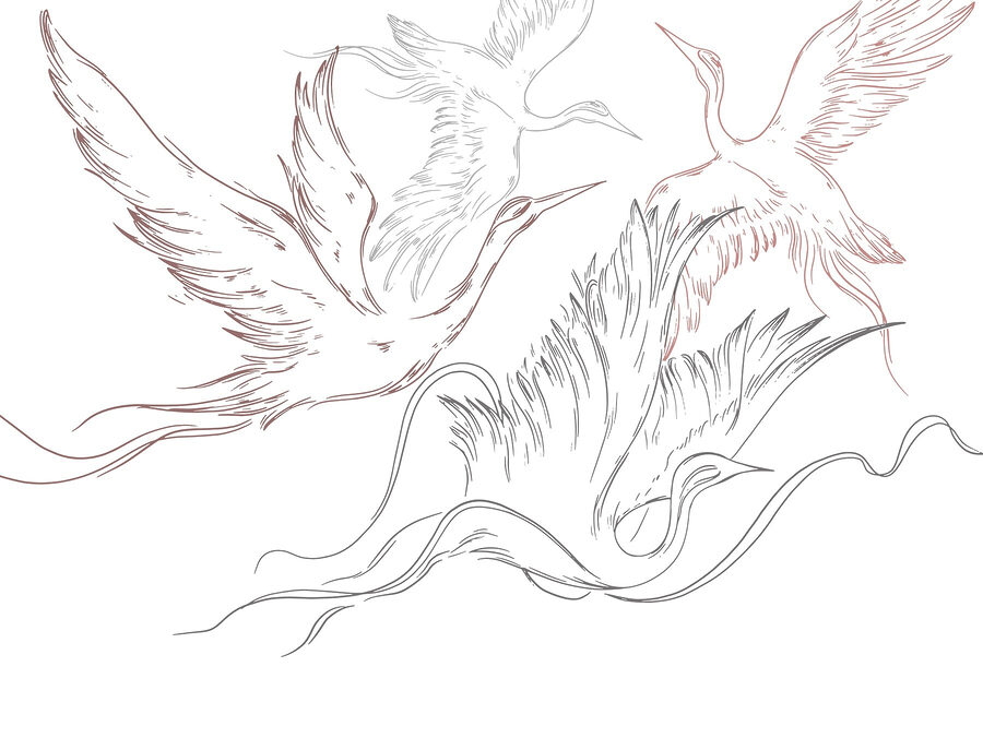 Drawing of birds flying Drawing of birds flying
