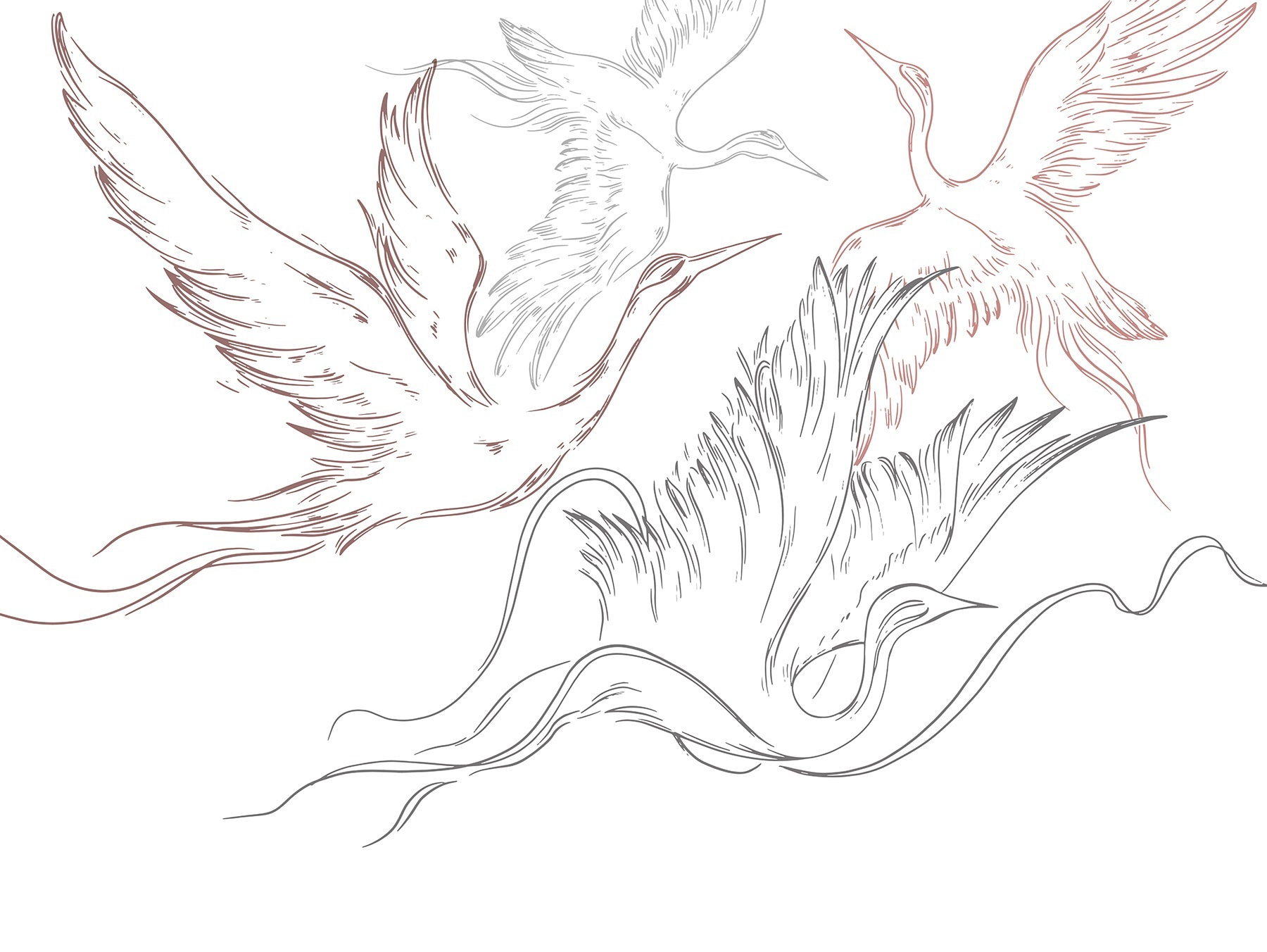 Drawing of birds flying