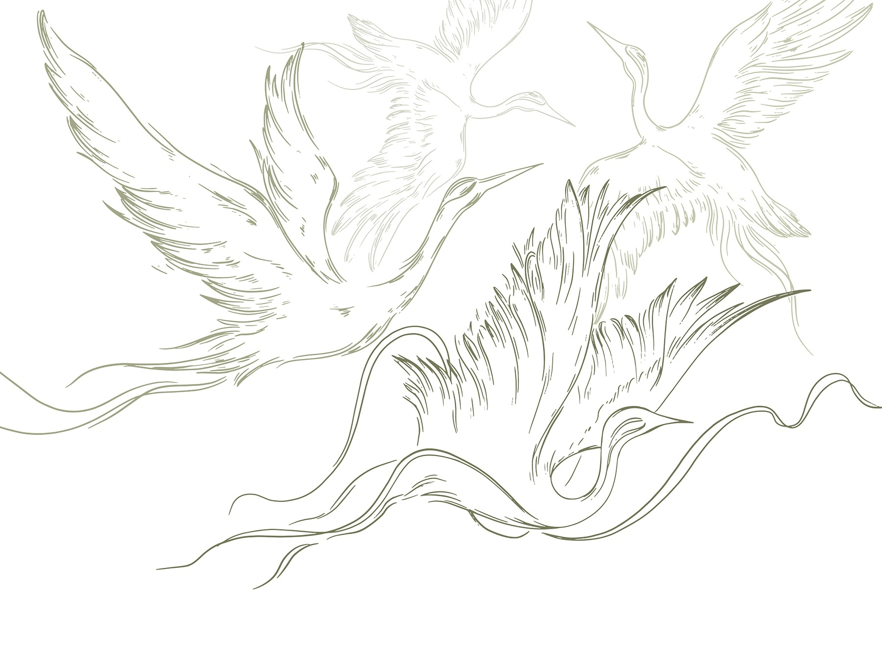 Drawing of birds flying Drawing of birds flying