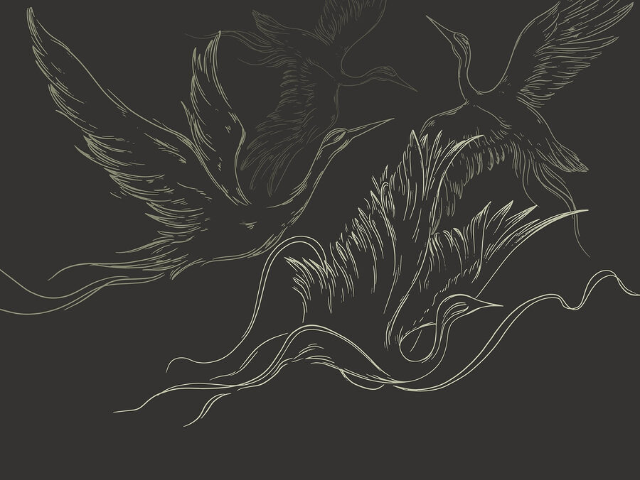 Drawing of birds flying Drawing of birds flying