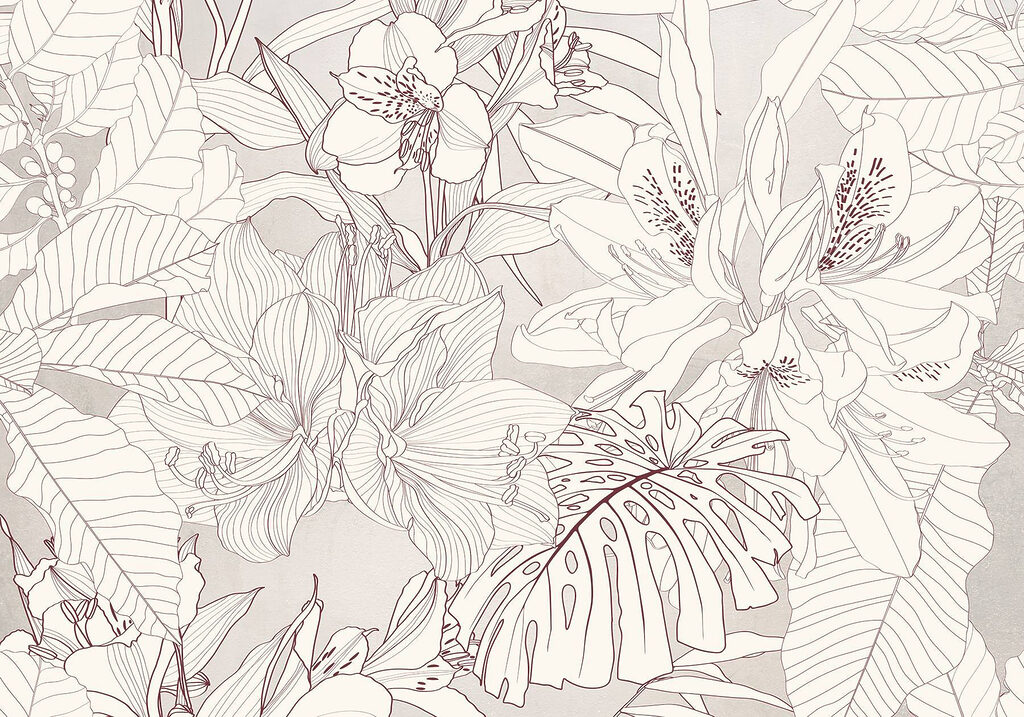 Nature’s delicate floral patterns unfold Nature’s delicate floral patterns unfold