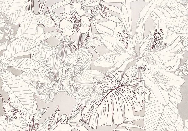 Nature’s delicate floral patterns unfold Nature’s delicate floral patterns unfold