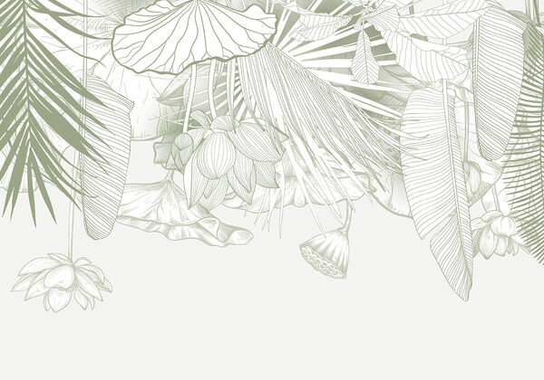 Delicate line art of tropical flora Delicate line art of tropical flora