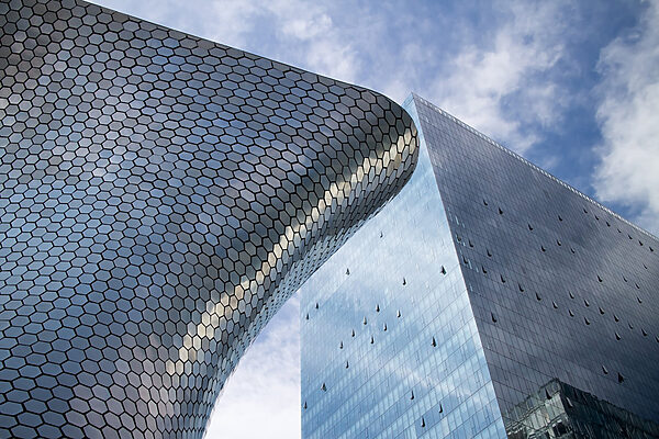 Architectural design meets nature’s inspiration Architectural design meets nature’s inspiration