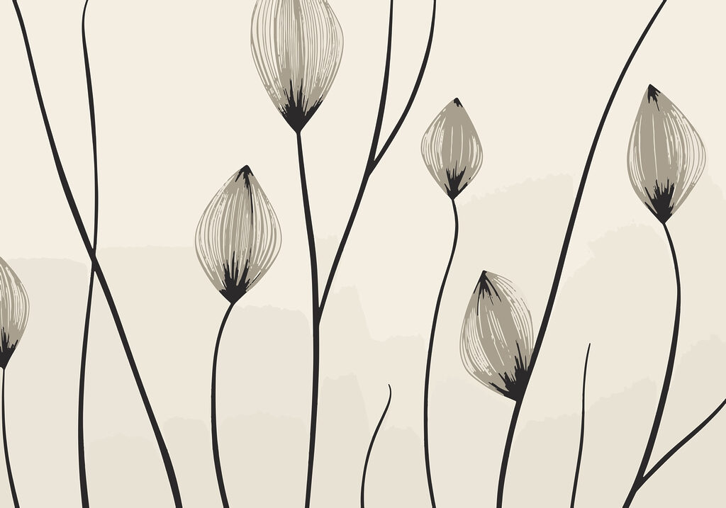 – Elegant lines of delicate blooms – Elegant lines of delicate blooms