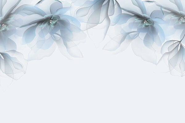 Group of flowers with white and blue flowers