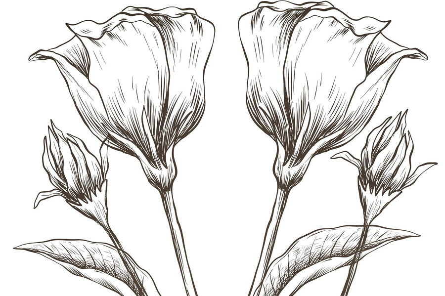 Wall murals Drawing of flowers on a white background - Image 3
