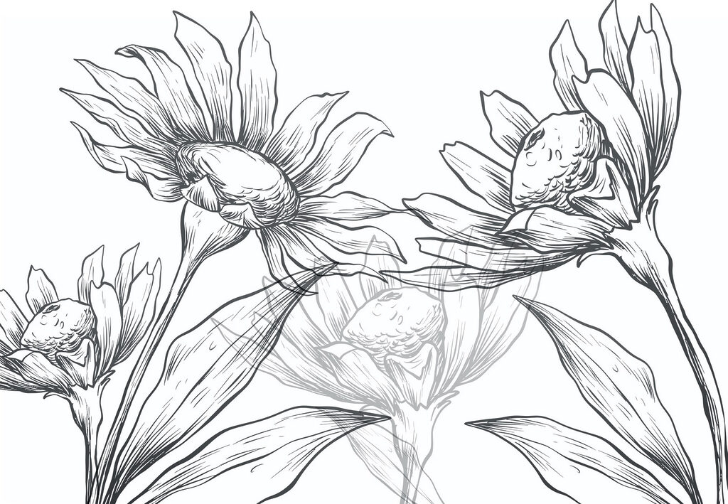 Drawing of flowers with leaves Drawing of flowers with leaves