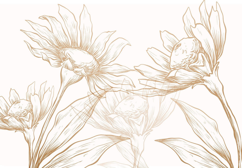 Drawing of flowers and leaves Drawing of flowers and leaves