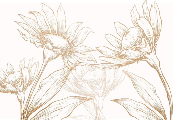 Drawing of flowers and leaves Drawing of flowers and leaves