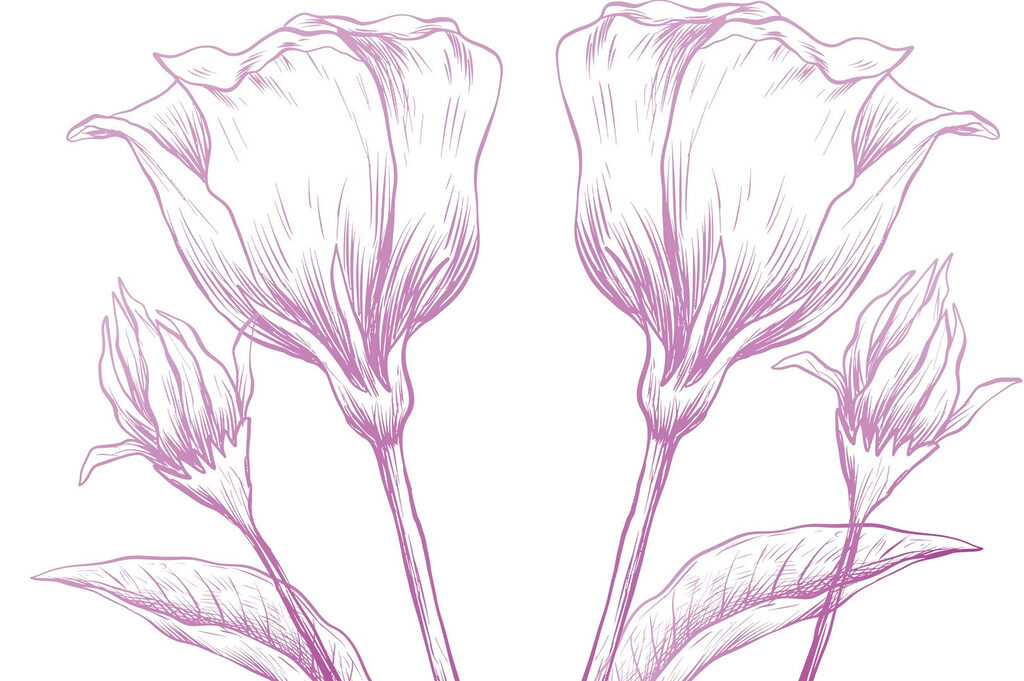 Delicate blooms in soft pastel hues Delicate blooms in soft pastel hues