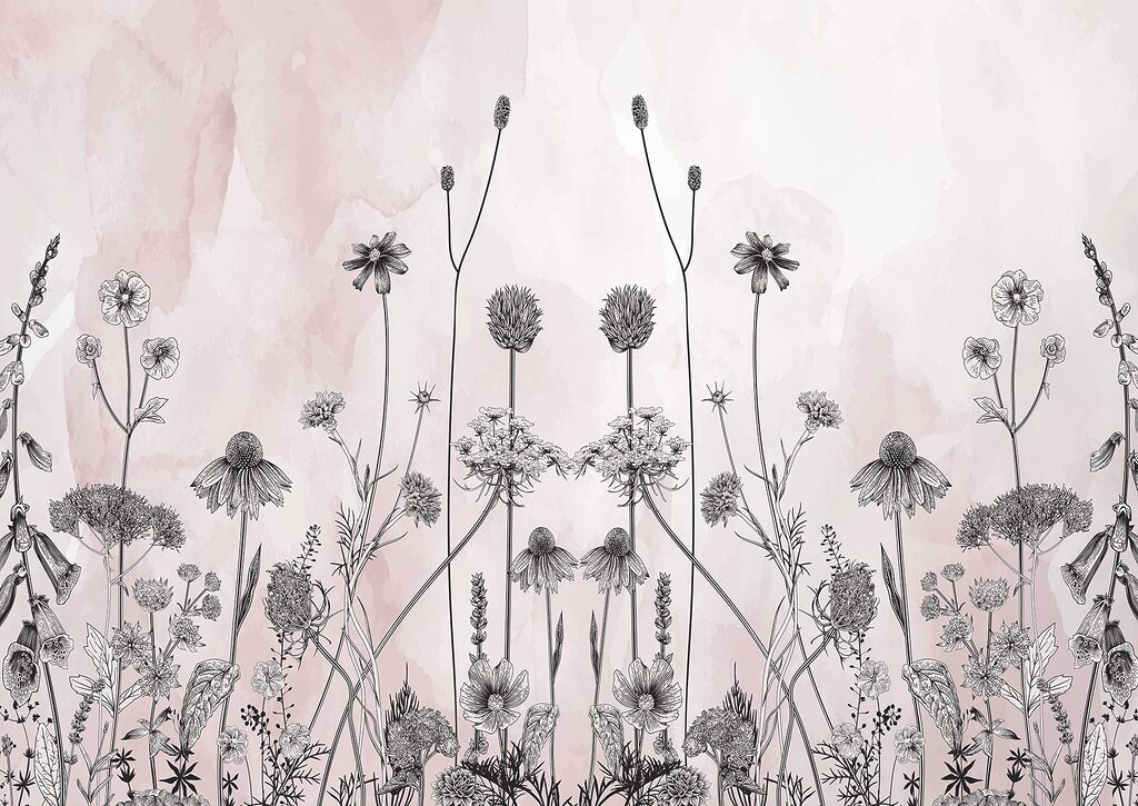 Drawing of flowers and plants Drawing of flowers and plants