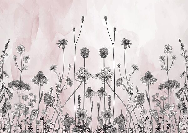 Drawing of flowers and plants Drawing of flowers and plants