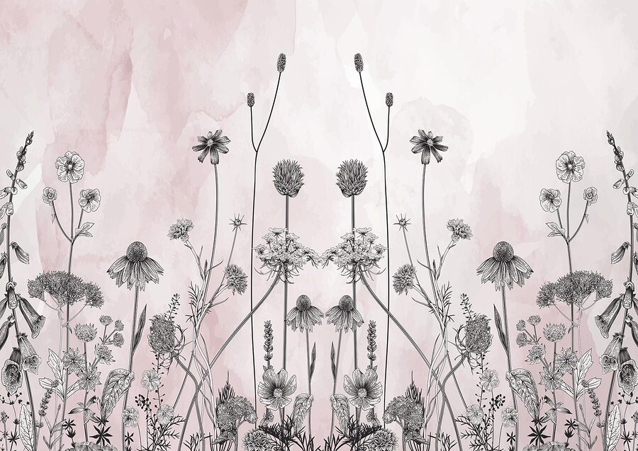 Drawing of flowers and plants Drawing of flowers and plants