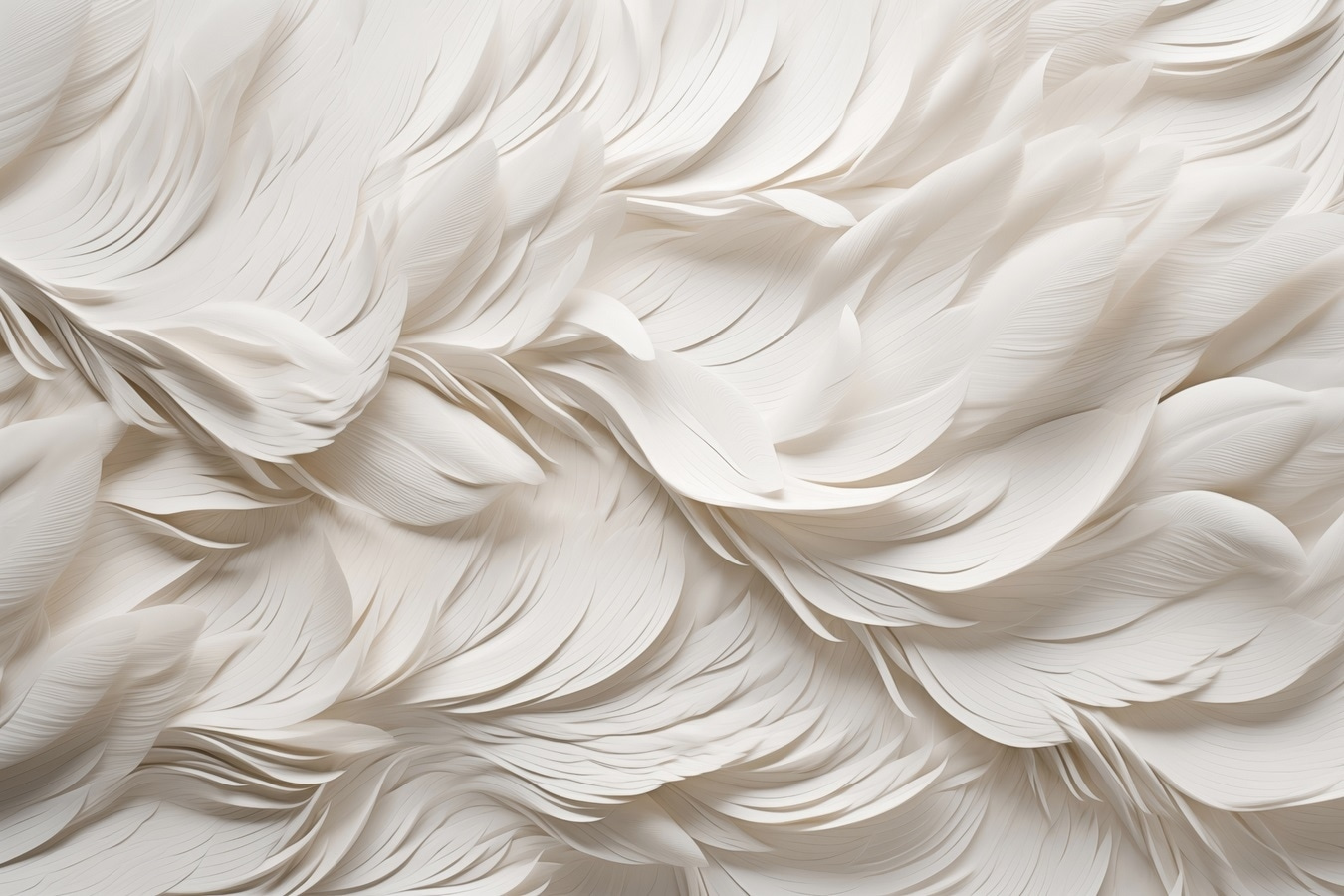 White feathers on a surface