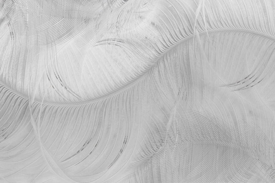 White feather pattern on a white surface