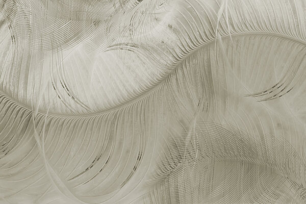Nature’s serene leafy texture. Nature’s serene leafy texture.