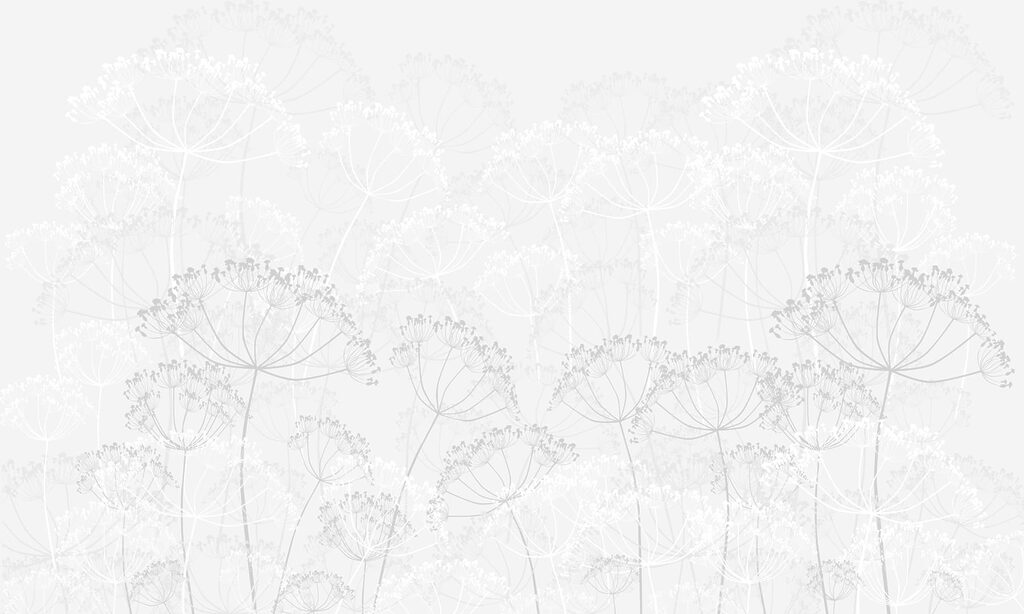 White flower pattern White flower pattern