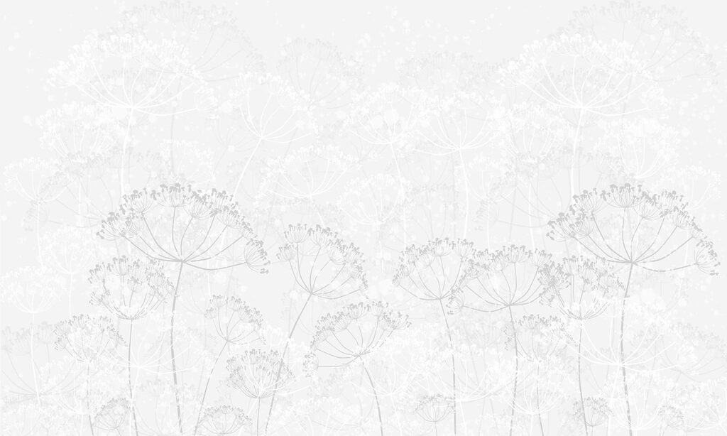 White background with flowers White background with flowers