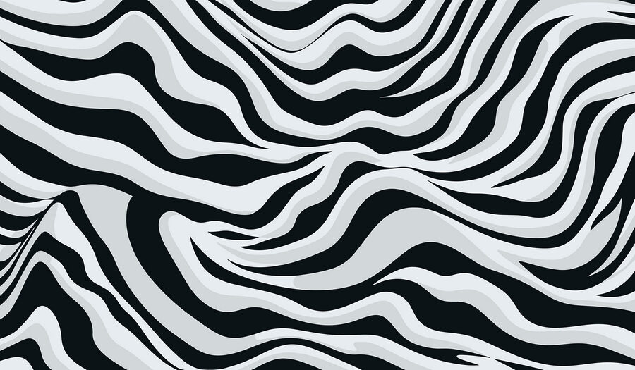 Black and white striped pattern