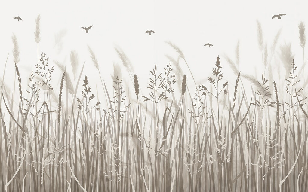 Field of grass with birds flying Field of grass with birds flying