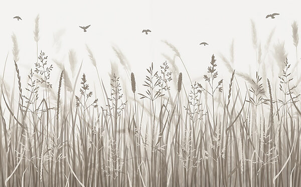 Field of grass with birds flying Field of grass with birds flying