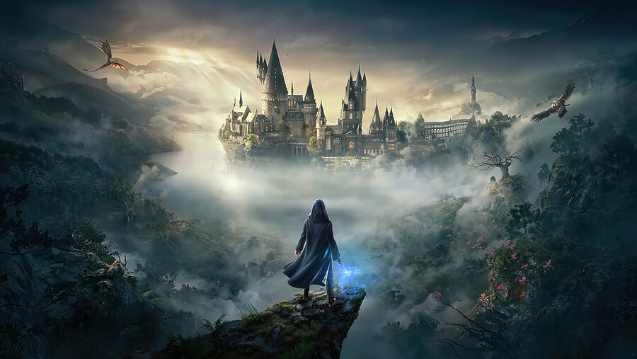 Person standing on a cliff looking at a castle