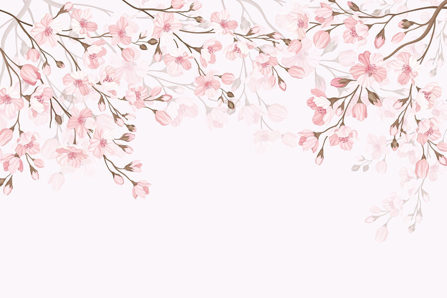 Pink flowers on a white background Pink flowers on a white background