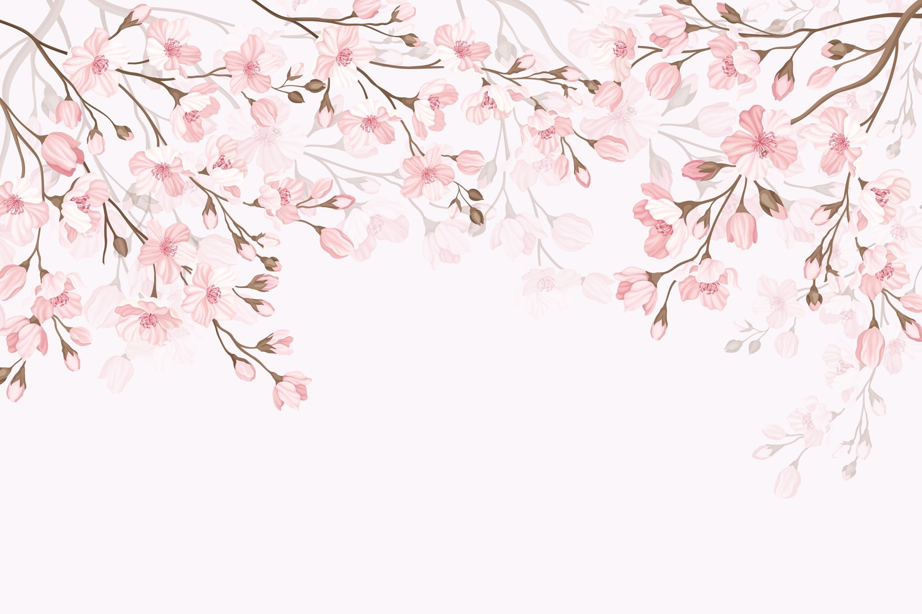 Pink flowers on a white background