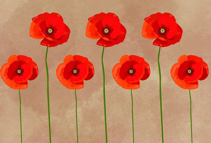 Group of red flowers