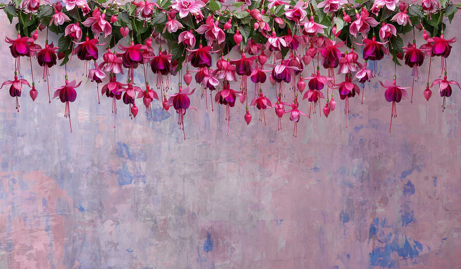 Wall murals Group of pink flowers - Image 9