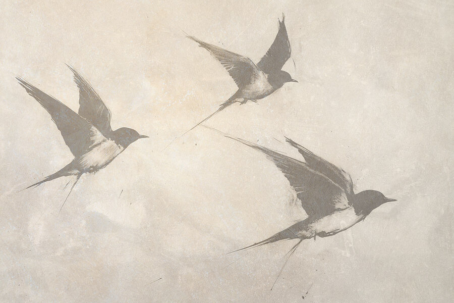 Group of birds flying
