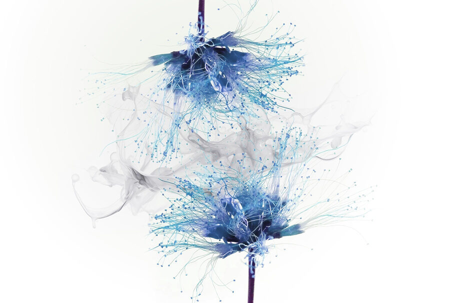 Blue flowers with white ink in the air