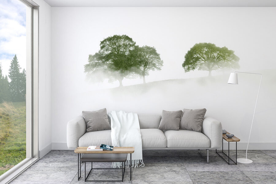 Wall murals Trees in the fog - Image 3