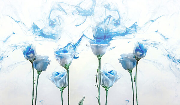 Group of flowers with blue ink in water Group of flowers with blue ink in water