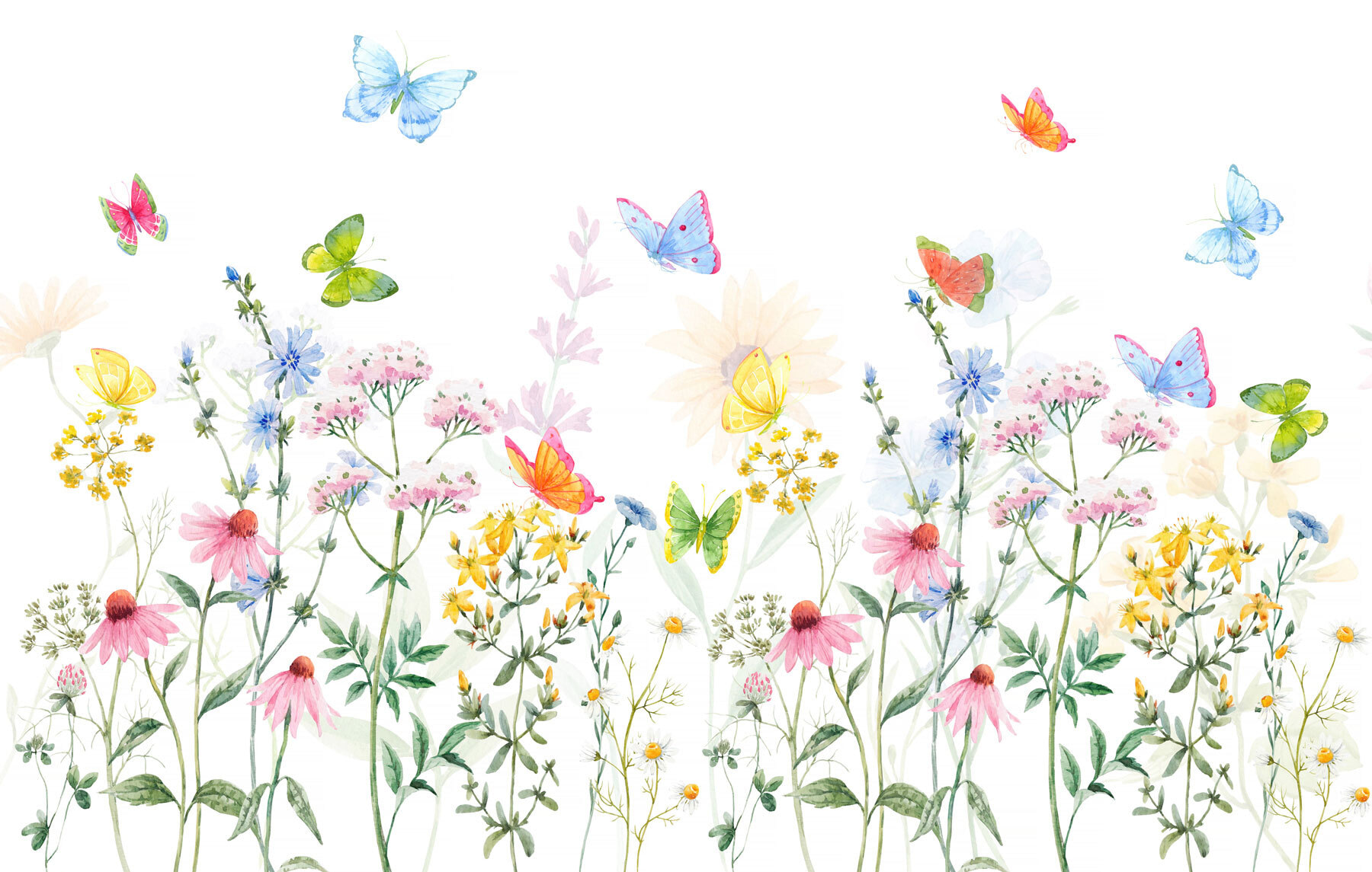 Painting of flowers and butterflies Painting of flowers and butterflies
