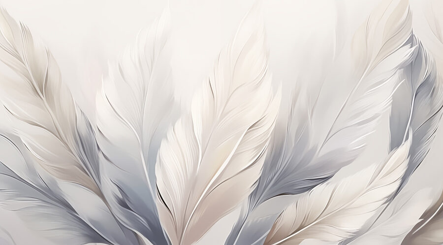 Group of white and grey feathers Group of white and grey feathers