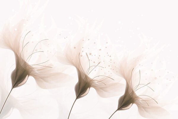 Soft petals in gentle hues. Soft petals in gentle hues.