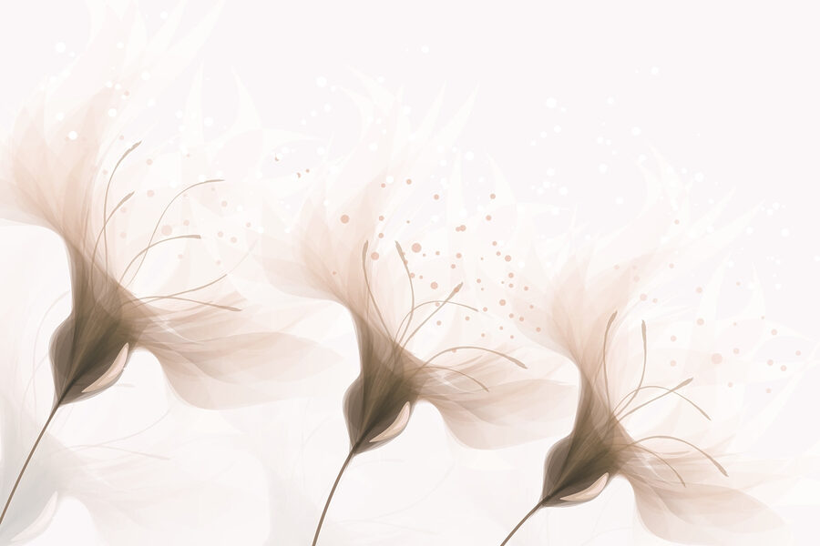 Soft petals in gentle hues. Soft petals in gentle hues.