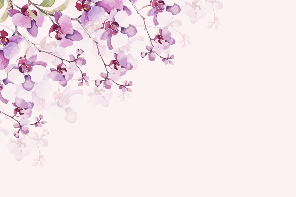 Delicate orchids in soft pastel hues Delicate orchids in soft pastel hues