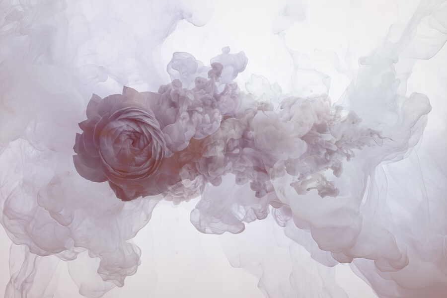 Wall murals Flower in water - Image 4