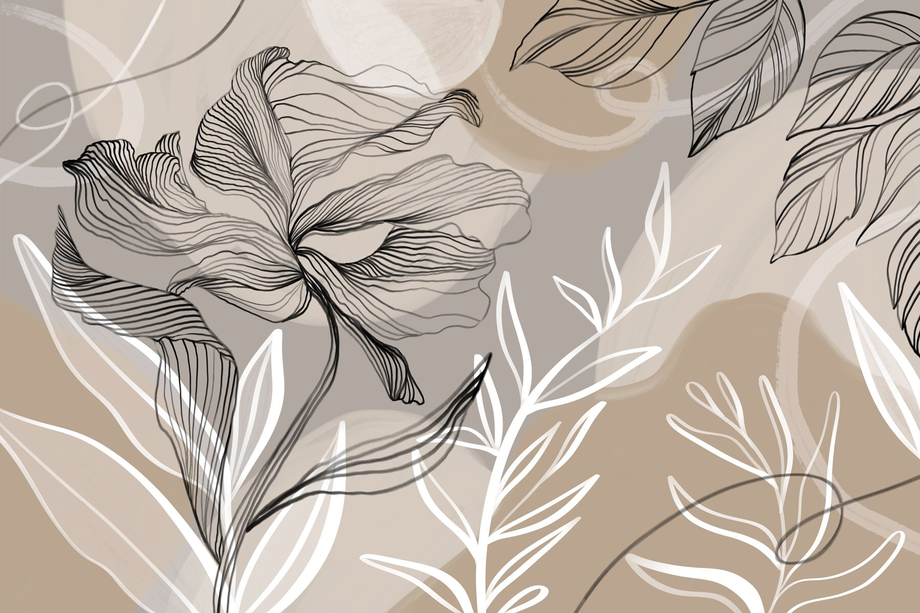 Flowing lines and organic shapes combine Flowing lines and organic shapes combine