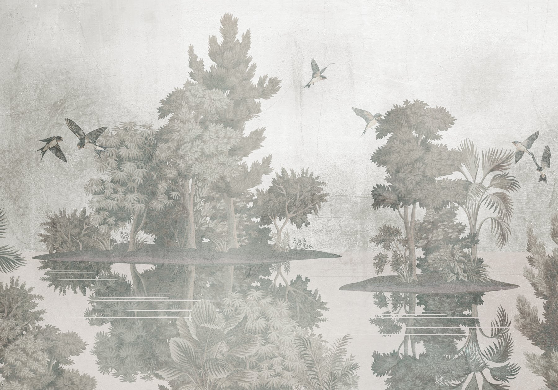 Birds flying over trees Birds flying over trees