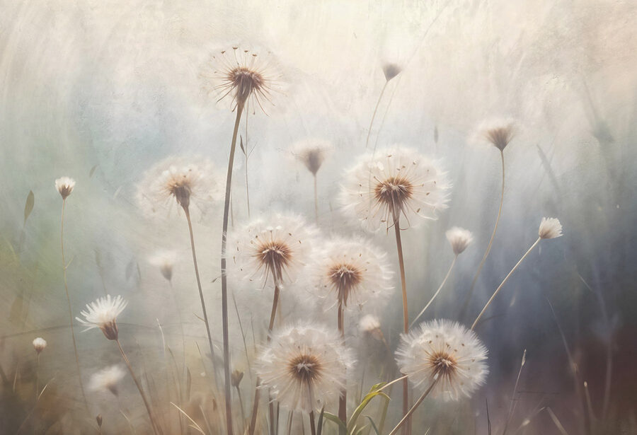 Wall murals Whispers of Nature’s Delicate Beauty - Image 7