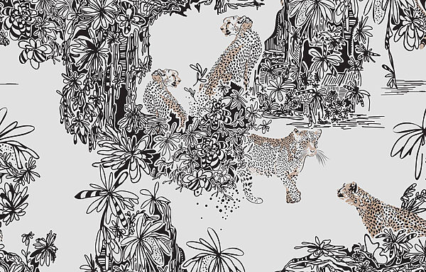 Pattern of cheetahs and leopards Pattern of cheetahs and leopards