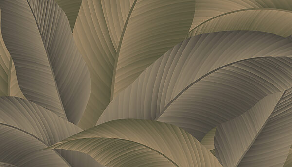 Nature’s layered green tapestry Nature’s layered green tapestry
