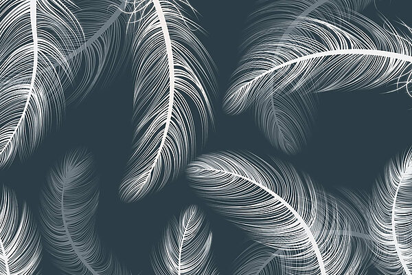 Delicate feathers dancing on dark background Delicate feathers dancing on dark background