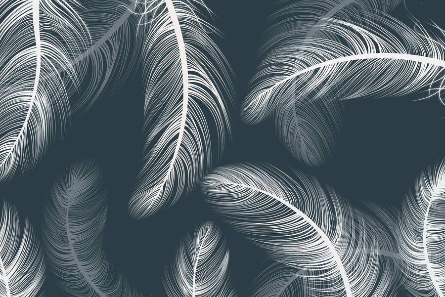 Delicate feathers dancing on dark background