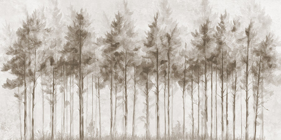 Wall murals Group of trees in a forest - Image 4